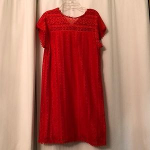 Bright Orange FRANCESCA’S Easter dress!